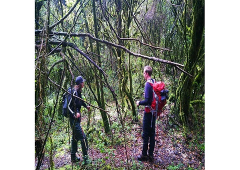 Rain Forest CUYABENO Lodges