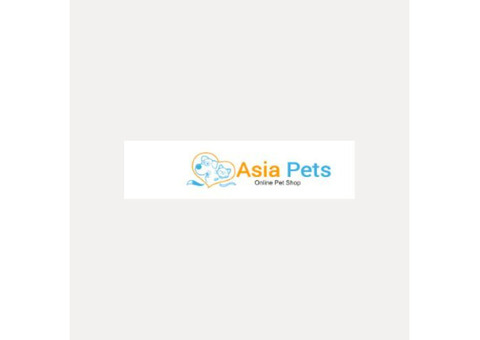 Puppies for Sale in Shimla - Your Source for Quality Pets!