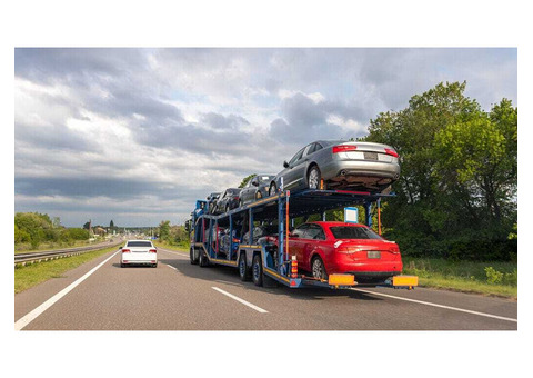 Expert Auto Transport Services You Can Trust