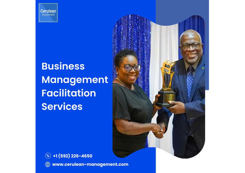 Business Management Facilitation Services | Cerulean Management