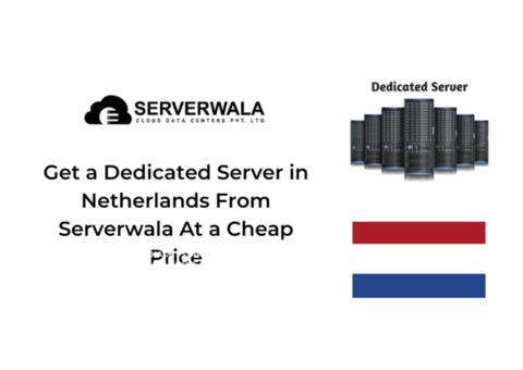 Get a Dedicated Server in Netherlands From Serverwala At a Cheap Price