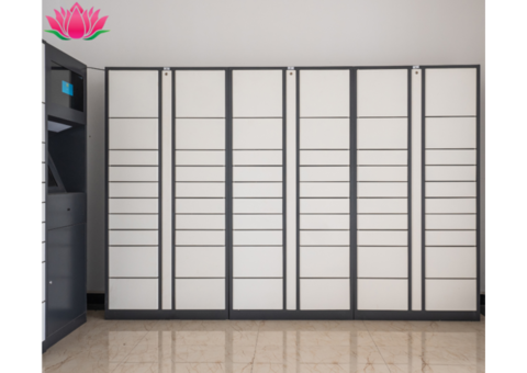 Smart Locker Solution in Noida