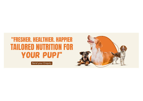 Nutritional Essentials Used in Fresh Food for Dogs