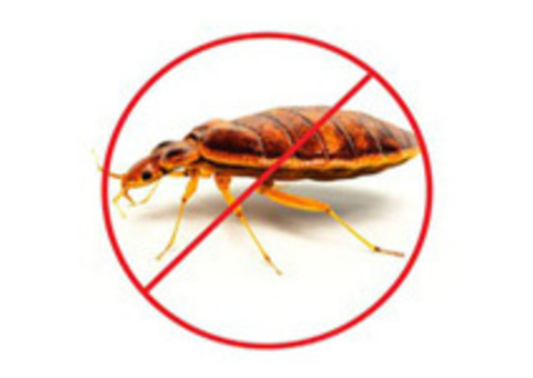 No.1 Commercial pest control Service in Jaipur