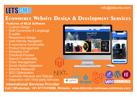 Affordable Ecommerce Website Development and Customizations