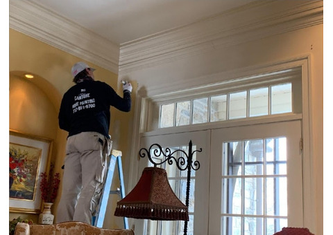 Professional Residential and Commercial Painting Gallery