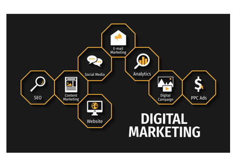 Alpha Digi World | Digital Marketing | SEO Marketing Agency