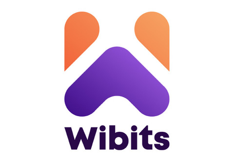 Elevate Your Brand with Wibits Web Solutions