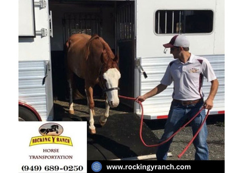 Specialized Equine Transportation in California | Rocking Y Ranch