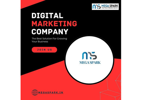 Mega Spark will be India's Top Digital Marketing Company by 2024