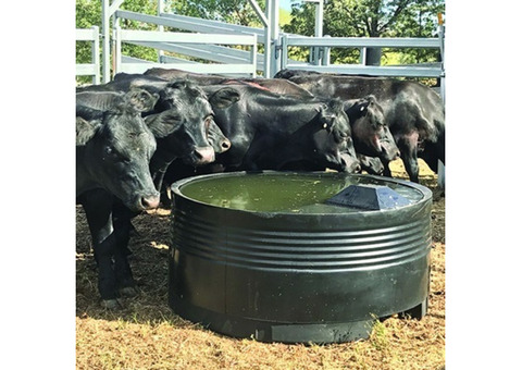 Durable Cattle Water Troughs for Australian Farmers