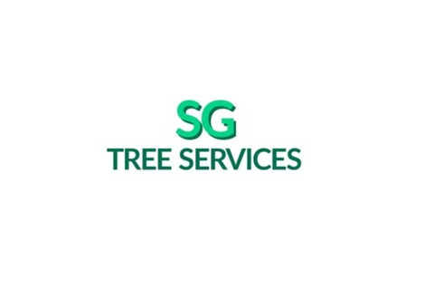 About Professional & Reliable Tree Surgery By SG Tree Services