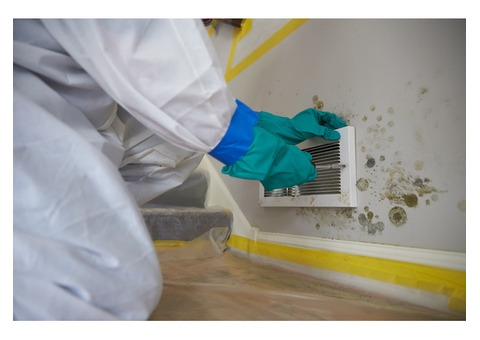 Reliable Odors Removal Services for a Fresh Space