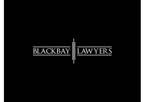 Social Media Lawyer