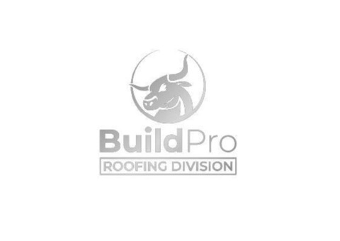 BuildPro Roofing Company