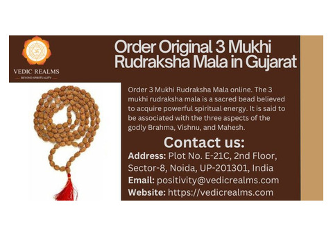 Order Original 3 Mukhi Rudraksha Mala in Gujarat