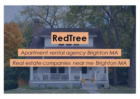 Pick a Low-income Apartment Rental Agency Brighton MA