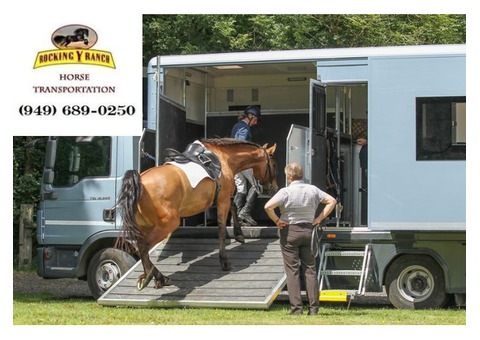 Affordable Horse Transportation Costs in California | Rocking Y Ranch