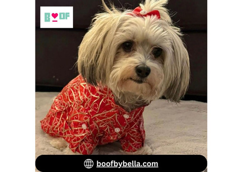 Boof by Bella: Trendy Dog Clothes for Every Occasion