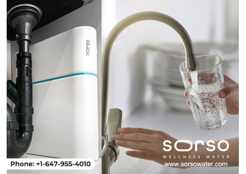 Ensure Your Health & Safety with Sorso's Water Filter System