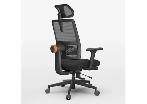 Newtral Ergonomic High Back Office Chair