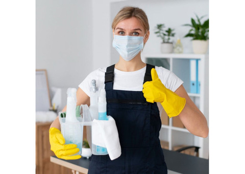 Eco-friendly Cleaning Services in Lavington WIthin Budget