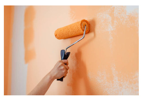 Exquisite WallCoverings LLC | Painter in Scottsdale AZ