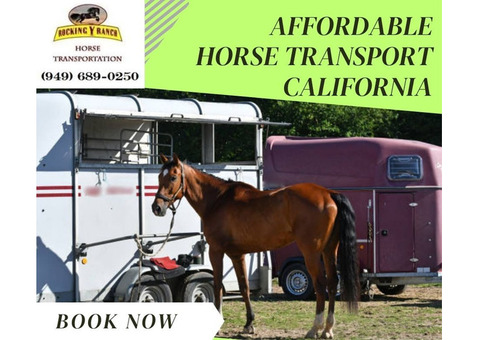 Affordable Cost to Transport a Horse in California