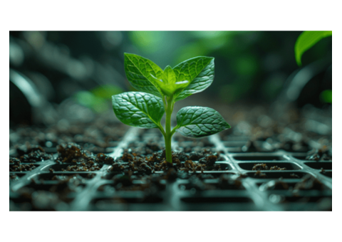 Tap Maximum Plant Benefits with an Oxygen Nanobubbles Generator