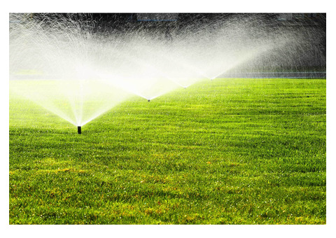 Affordable Irrigation Services You Can Trust