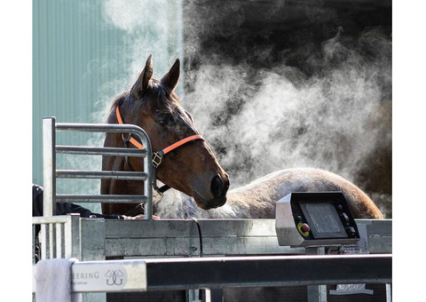 Affordable Horse Treadmill Price In UK - ECB Equine Spa