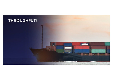 VMI Supply Chain Solutions – Optimize with Throughput's Expertise