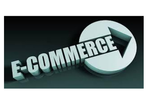 Invoidea is The Prominent Ecommerce Service Provider in Delhi