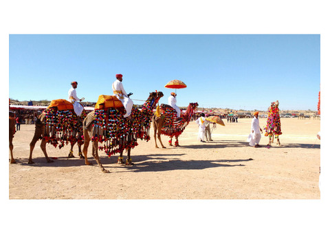 Best Camel Safari tours in Sam Sand Dunes,Jaisalmer