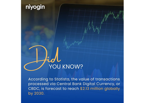 Grow Your Investments with Niyogin | NFL Loans Financial Products