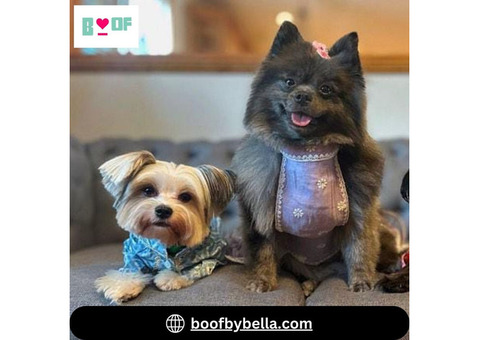 Pawsome Dog Clothes at BoofbyBella for Pets