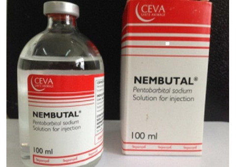 BUY NEMBUTAL ONLINE ,BUY PENTOBARBITAL SODIUM, BUY