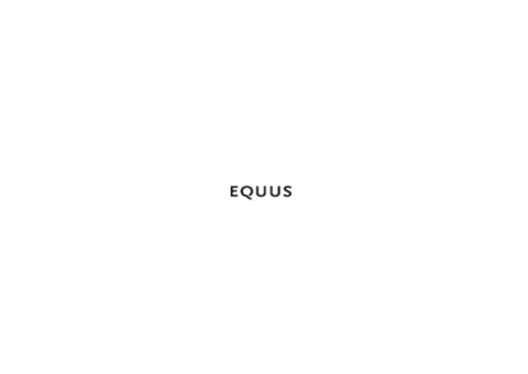 Equus Brand Consultants Pte Ltd