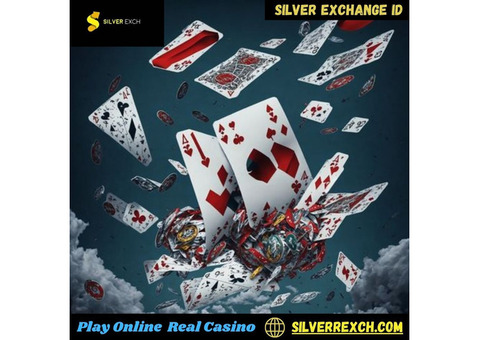 Get Silver Exchange ID access to a wide range of betting options