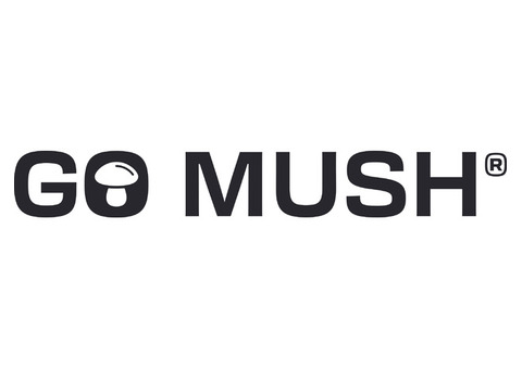 Best Mushroom Supplement For Brain Health | Go Mush