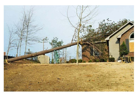 Wind and Storm Damage Restoration Cleanup