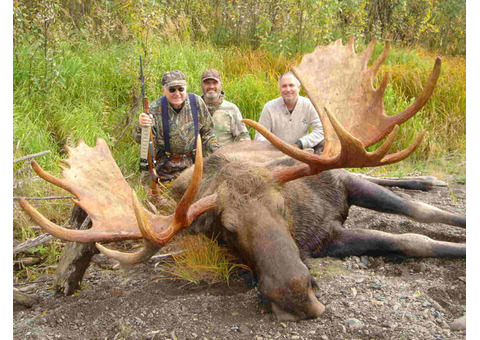 Moose Hunting