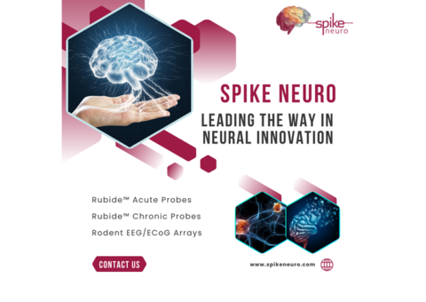 Fast, Reliable Neural Probes from SpikeNeuro – Order Now