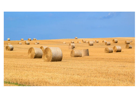 Central Alberta Hay Sales Ltd.