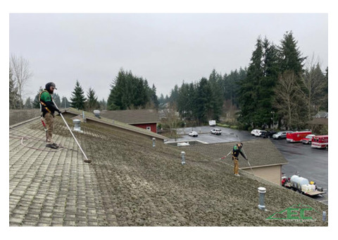 Roof Gutter Cleaning Services in Puyallup, WA