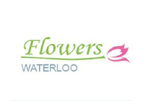 Waterloo Flowers