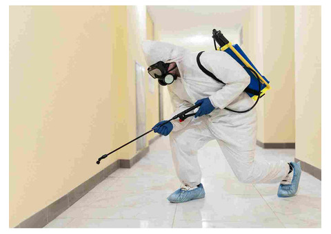 Reliable Bed Bugs Exterminator in Cypress, TX | Conquest Pest Services