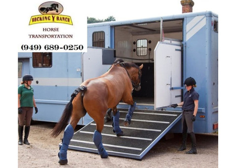 Reputable Local Horse Transport Services with Rocking Y Ranch