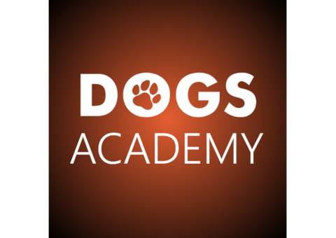 Dogs Academy