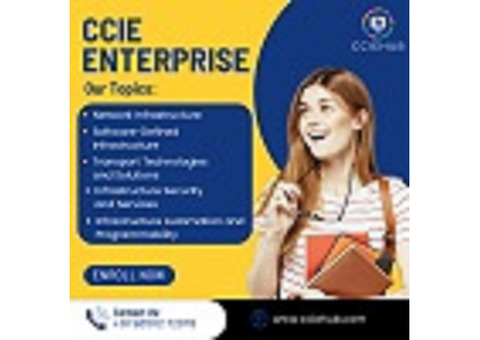 The Best Resources for CCIE Enterprise Revision